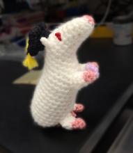 Alfonso's Defense 2024