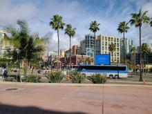 SFN 2025 in San Diego