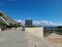 SFN 2025 in San Diego